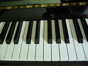 Klavier - Erfahrene Musiklehrerin / Konservatorium / für Klavier-, Keyboard-..., Dagmar E., Klavier, Königsbach-Stein