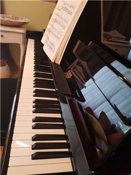 Klavierunterricht / Freude am Musizieren zu vermitteln, Irina, Klavier, Osnabrück - Pye