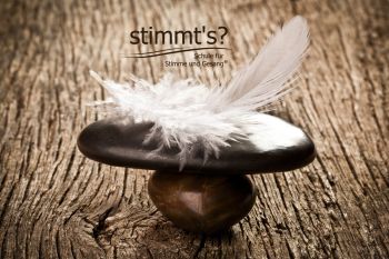 Stimmbildung - www.stimmeundgesang.de, Conny Walther-Haf (Stimmt's? Schule für Stimme und Gesang), Stimmbildung, Chemnitz - Kaßberg