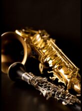 Klarinetten und Saxophon Unterricht, Stefano, Saxophon, Mainz
